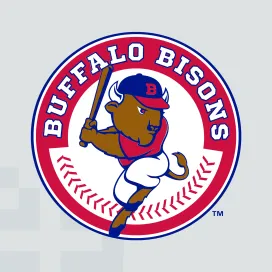Buffalo bisons 1